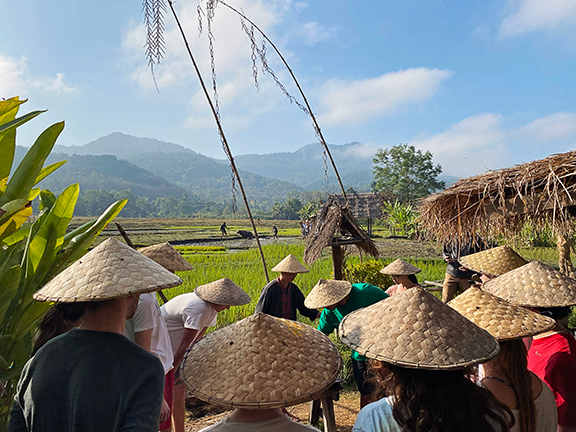 Straw Hats